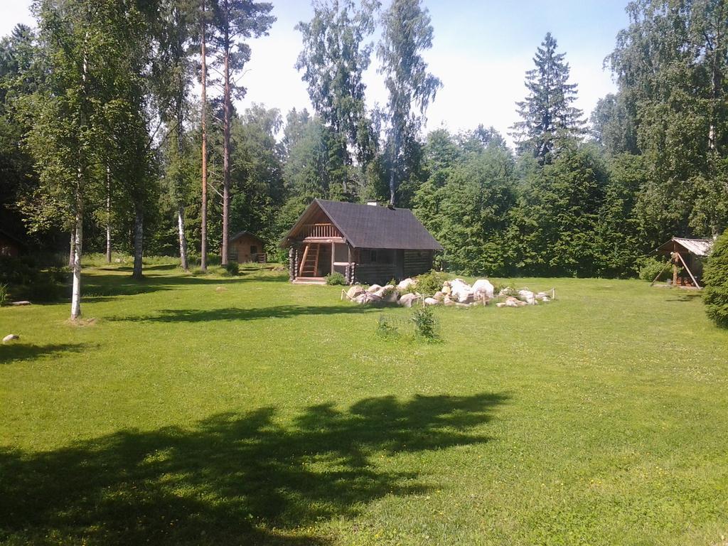 Haaviku Nature Lodge Sagadi Extérieur photo